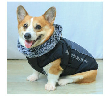 Vestă cu câine jos