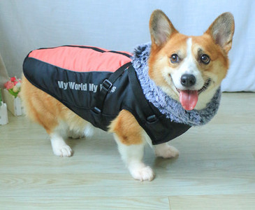 Vestă cu câine jos