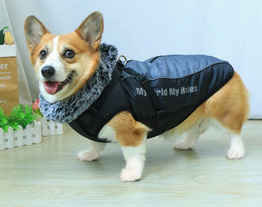 Vestă cu câine jos