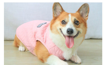 Vesta cu carlige - pentru caini