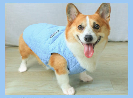 Vesta cu carlige - pentru caini