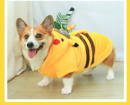 Îmbrăcăminte de pluș pentru câini cu glugă