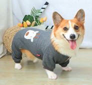 Haina de iarna pentru caini cu aplicatie