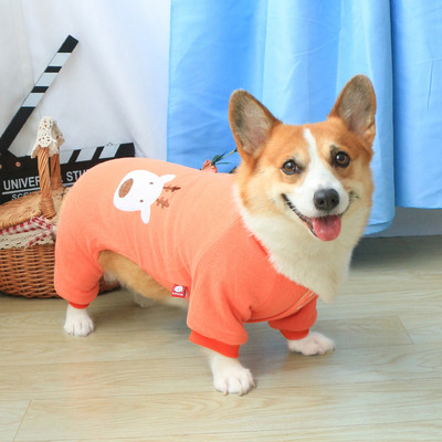 Haina de iarna pentru caini cu aplicatie