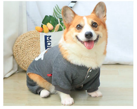 Haina de iarna pentru caini cu aplicatie