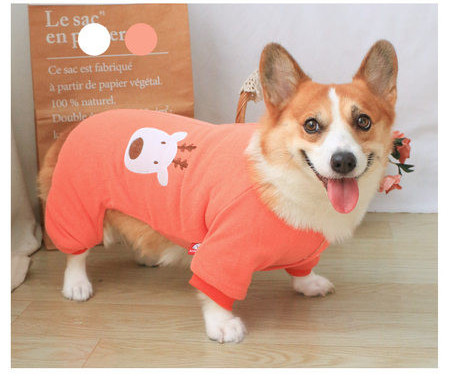 Haina de iarna pentru caini cu aplicatie