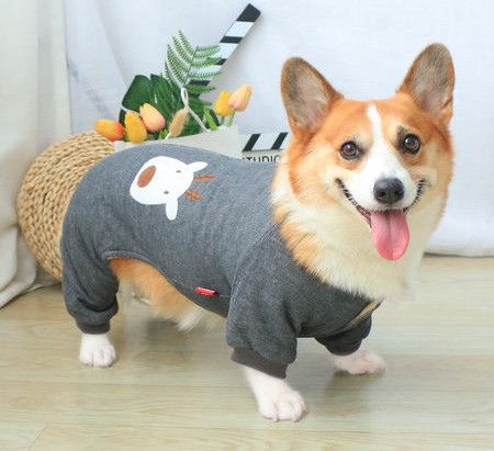 Haina de iarna pentru caini cu aplicatie