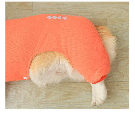 Haina de iarna pentru caini cu aplicatie