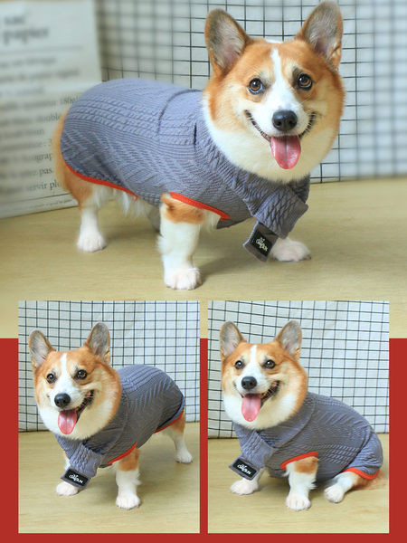 Imbracaminte de iarna tricotata pentru caini