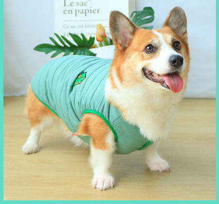 Sügiseks sobiv vest kahes värvitoonis