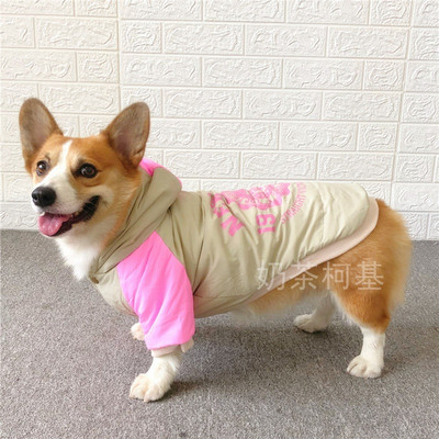 Βαμβακερό μπουφάν για σκύλους με απλικέ και κουκούλα