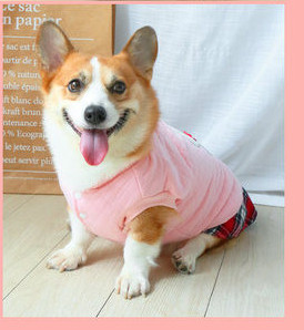 Kahes värvitoonis jope koerale