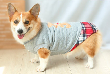 Kahes värvitoonis jope koerale