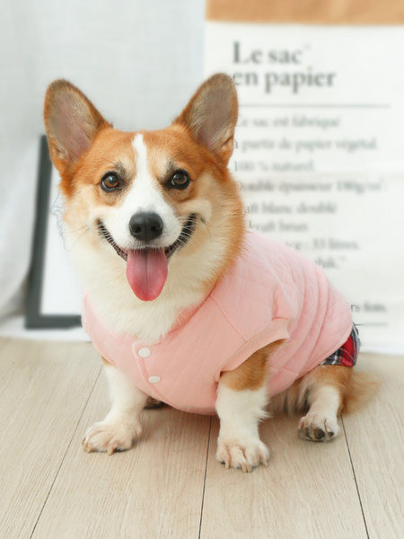 Kahes värvitoonis jope koerale