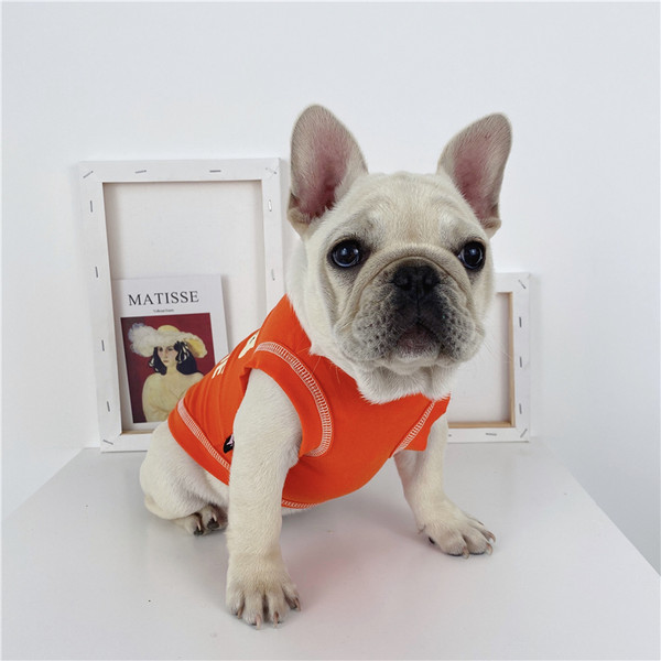 Vesta pentru caini in trei culori