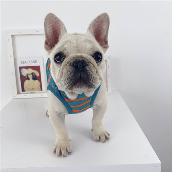 Vesta din bumbac pentru caine Rirana