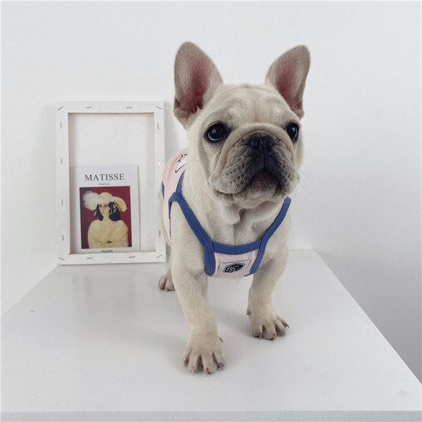 Aplikatsiooni ja tülliga T-särk koertele