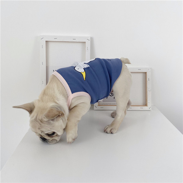 Aplikatsiooni ja tülliga T-särk koertele