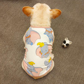 Aplikatsiooniga riided koertele