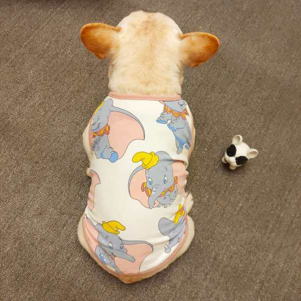 Aplikatsiooniga riided koertele