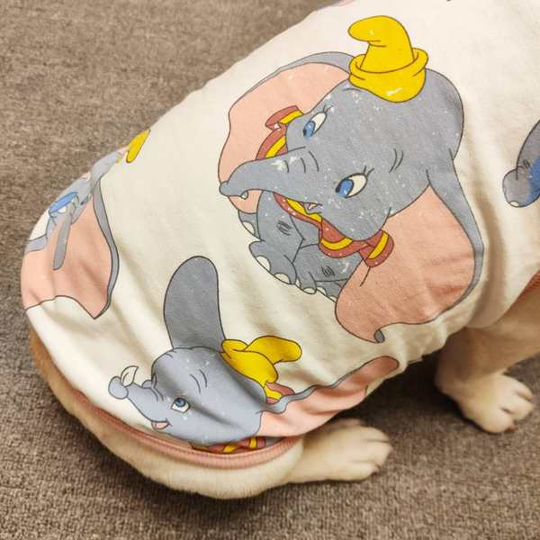 Aplikatsiooniga riided koertele