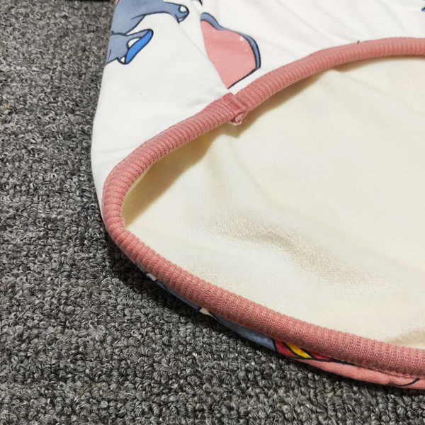 Aplikatsiooniga riided koertele