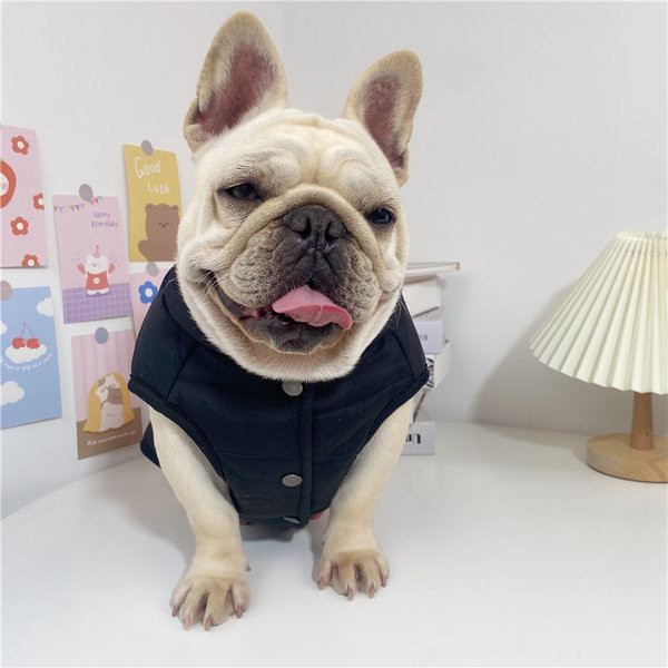 Vestă căptușită pentru câini cu aplicație