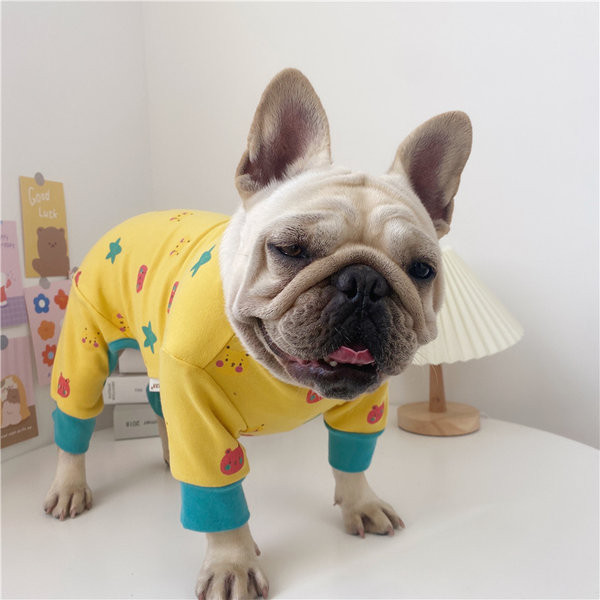 Haine colorate pentru câini