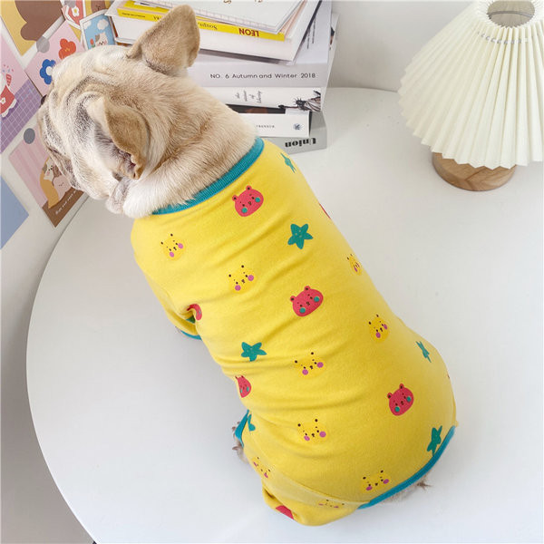 Haine colorate pentru câini