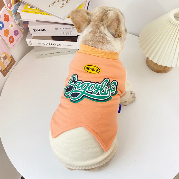 Pulover modern stil cainele cu aplicatie