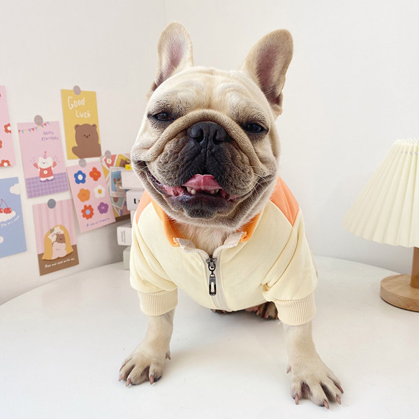 Pulover modern stil cainele cu aplicatie