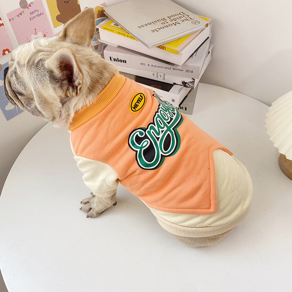 Pulover modern stil cainele cu aplicatie