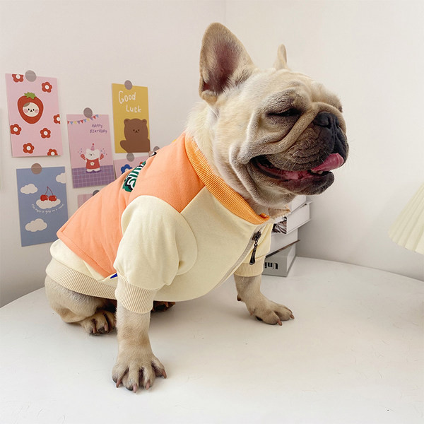 Pulover modern stil cainele cu aplicatie