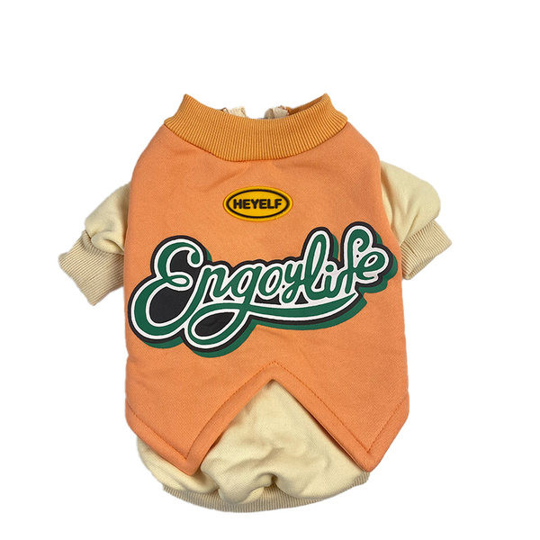 Pulover modern stil cainele cu aplicatie