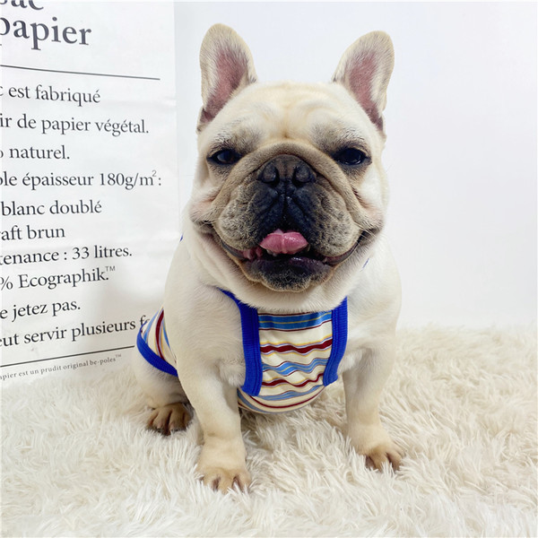 Corp pentru caini in trei culori