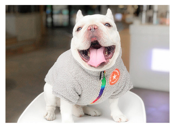 Geacă modernă în stil cățeluș cu fermoar și broderie