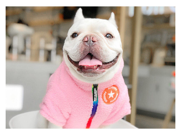 Geacă modernă în stil cățeluș cu fermoar și broderie