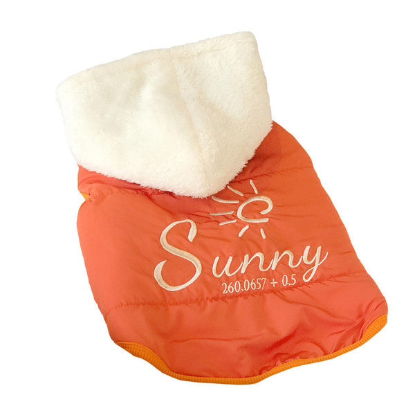 Jacheta pentru caini de culoare portocalie