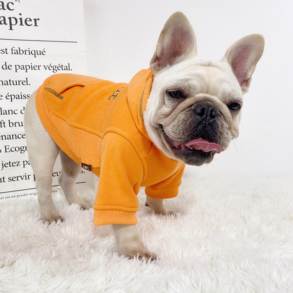 Haina moderna pentru caini cu broderie si gluga