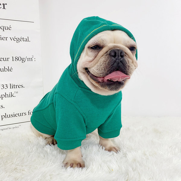 Haina moderna pentru caini cu broderie si gluga