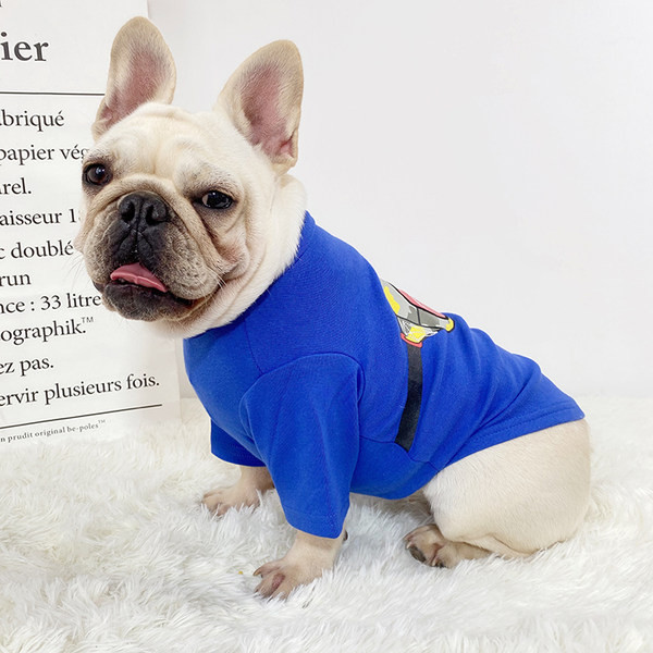 Värvilise aplikatsiooniga puuvillane pluus koertele