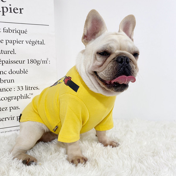 Värvilise aplikatsiooniga puuvillane pluus koertele