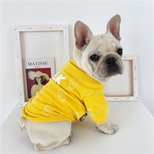 Bluză modernă în stil cățeluș cu broderie