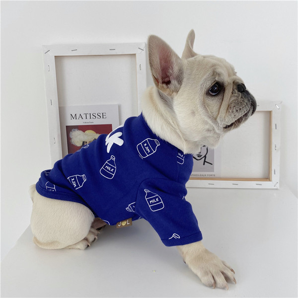 Bluză modernă în stil cățeluș cu broderie