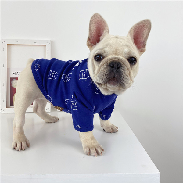 Bluză modernă în stil cățeluș cu broderie