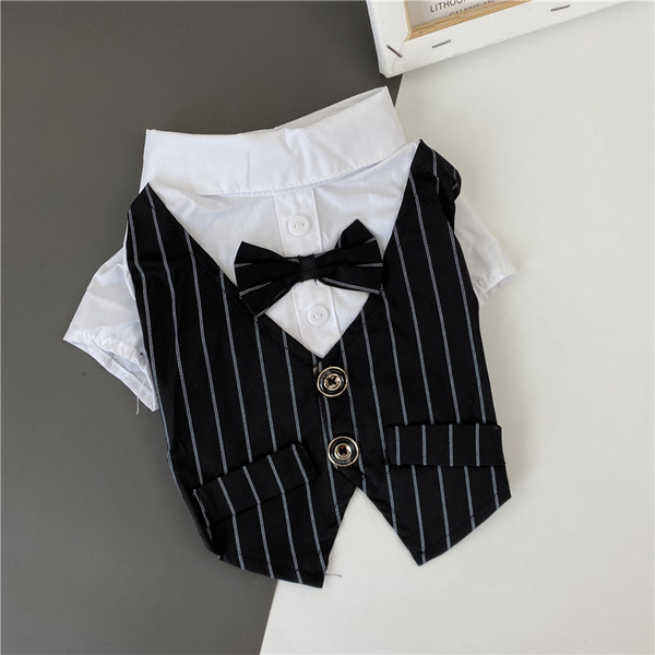 Stiilne koeratriibuline paelaga särk