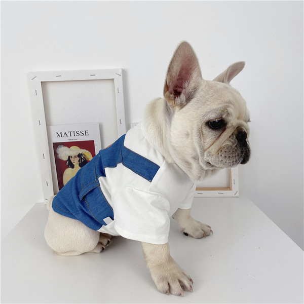 Salopeta din denim pentru caini