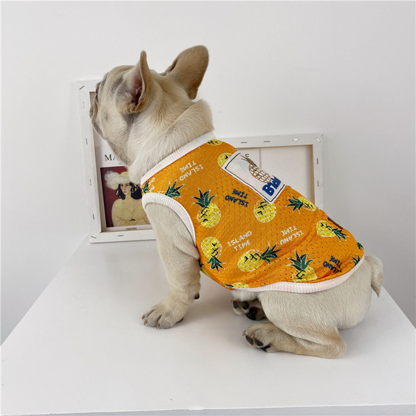 Värvilise trükiga vest koertele