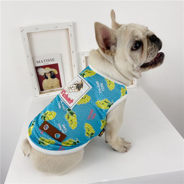 Värvilise trükiga vest koertele