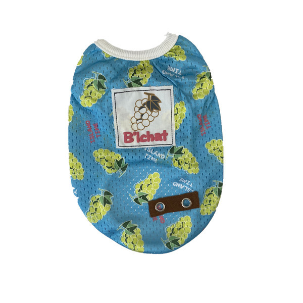 Värvilise trükiga vest koertele